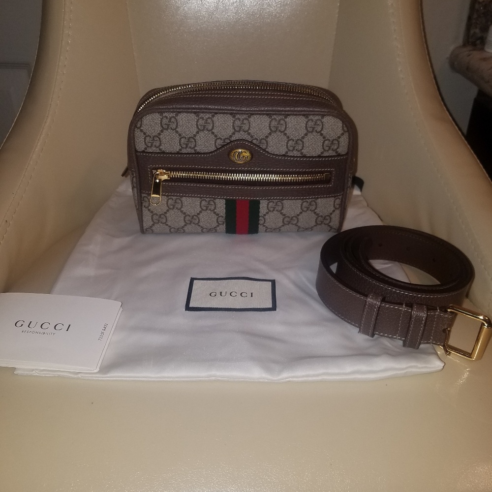 Gucci Ophidia Belt Bag